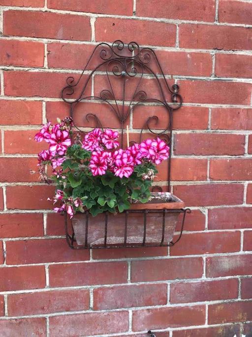 Brook Lodge Garden Flat Суонидж Екстериор снимка